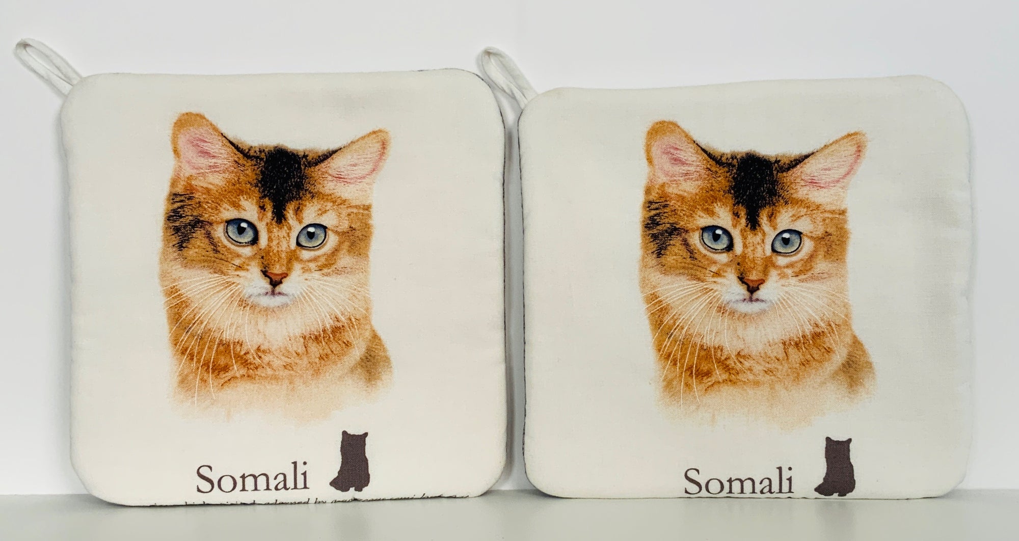 Hot Pads! Somali Cat