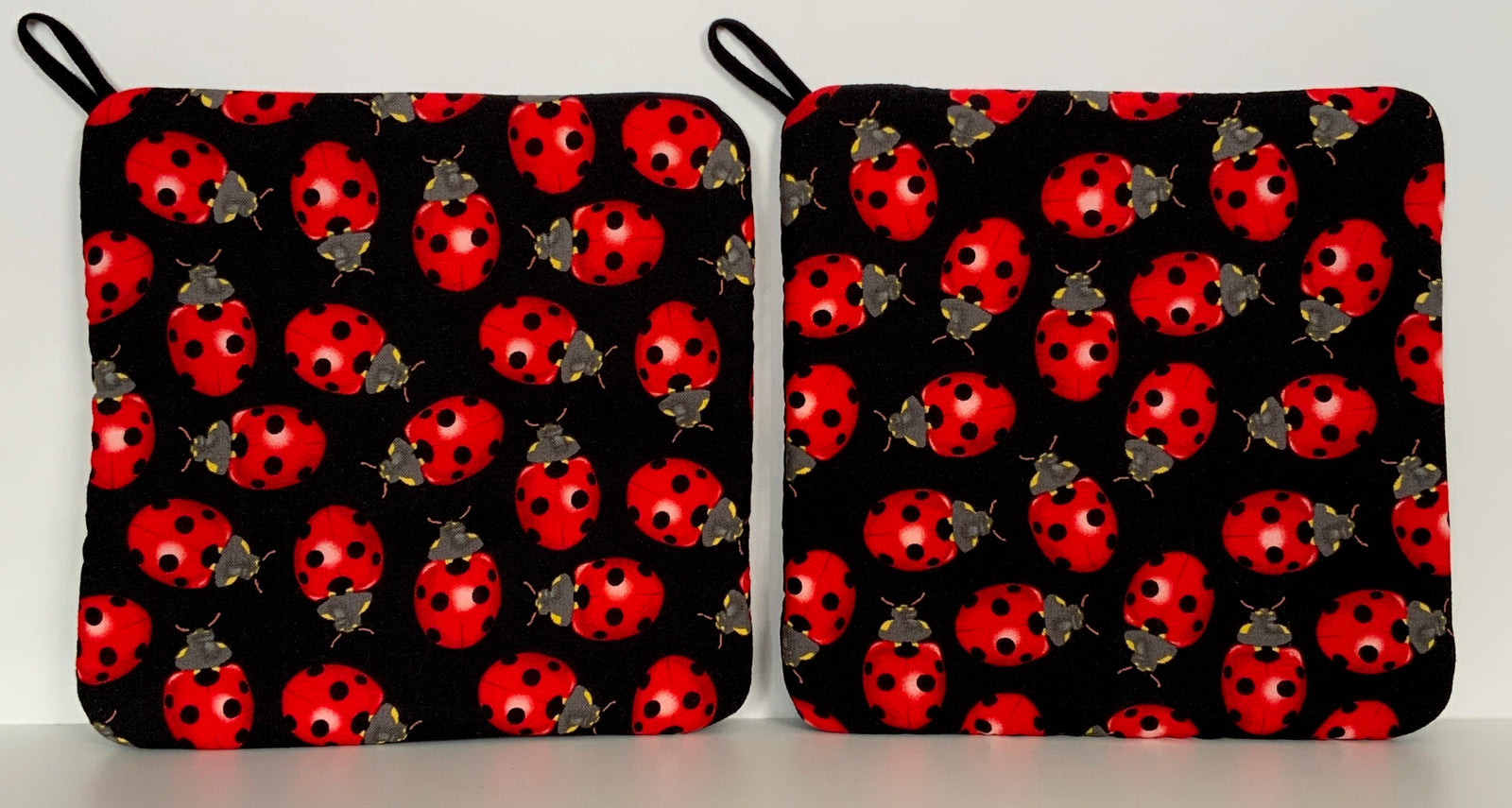Hot Pads! Lady Bugs