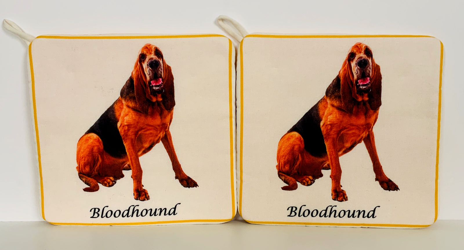 Hot Pads! Bloodhound